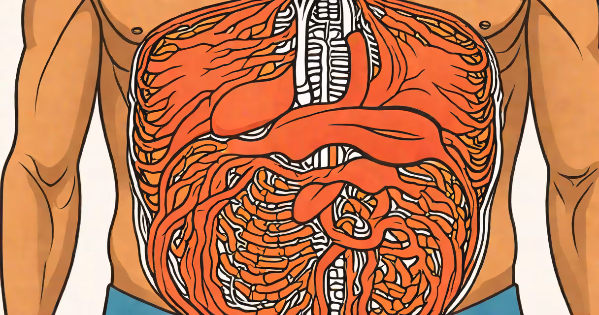 Illustration of upper abdominal anatomy highlighting potential pain points
