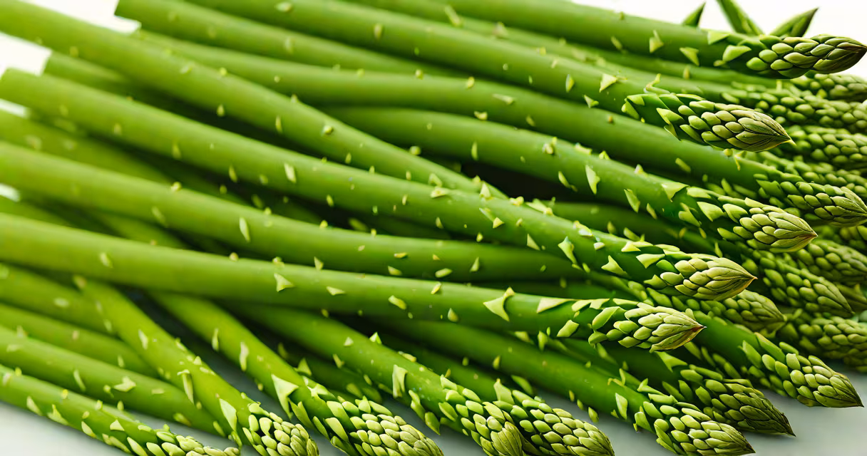 A bunch of fresh green asparagus spears on a white background